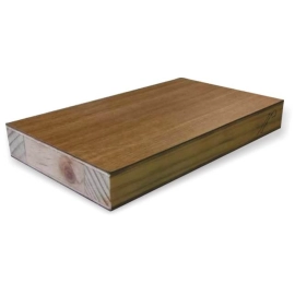 Flush Door BWR Waterproof Grade 25–45mm ISI 2202 – Gurjan Face