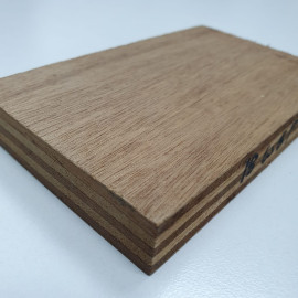 Gold Plywood for Premium Furniture & Modular Interiors (3)