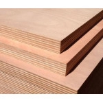 Intezia 12mm BWR Plywood – 11 Ply, India’s First Calibrated Sheet